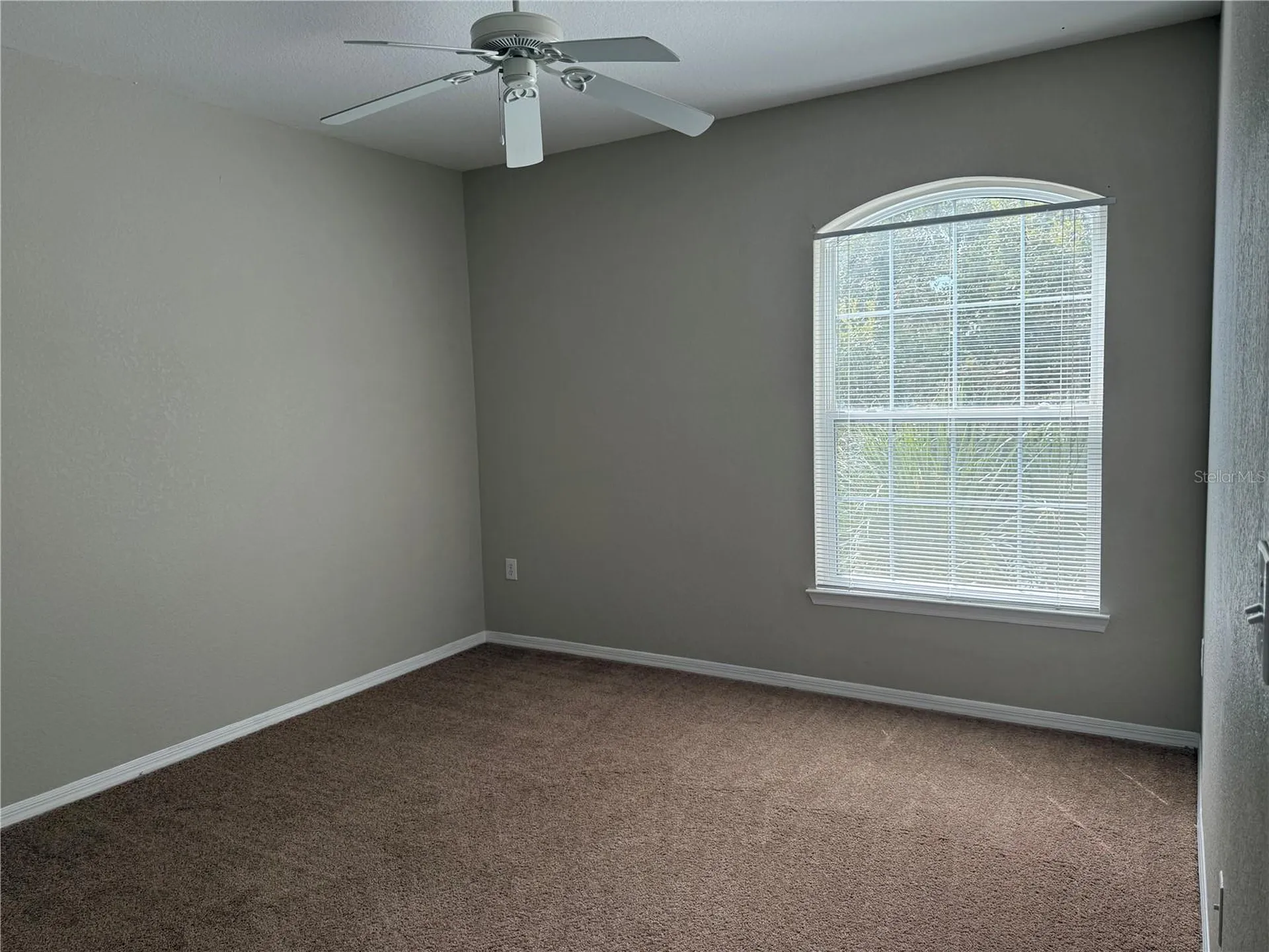10105 Courtney Oaks Circle Tampa FL 33619