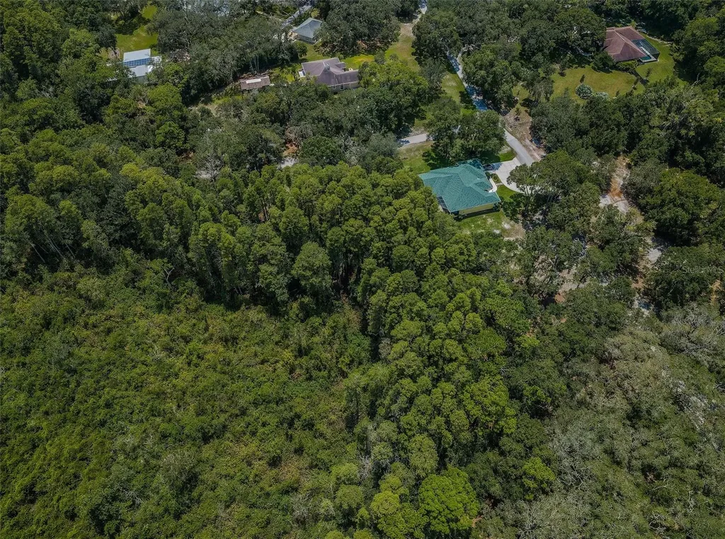 Coqui Court Odessa FL 33556