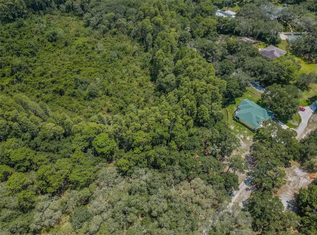 Coqui Court Odessa FL 33556