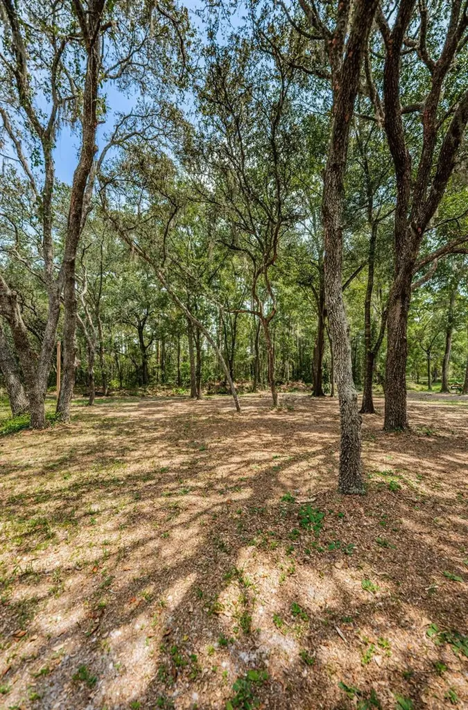 Coqui Court Odessa FL 33556