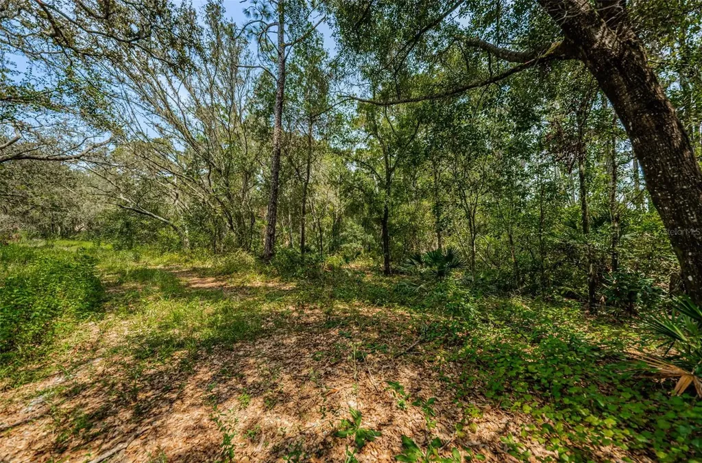 Coqui Court Odessa FL 33556