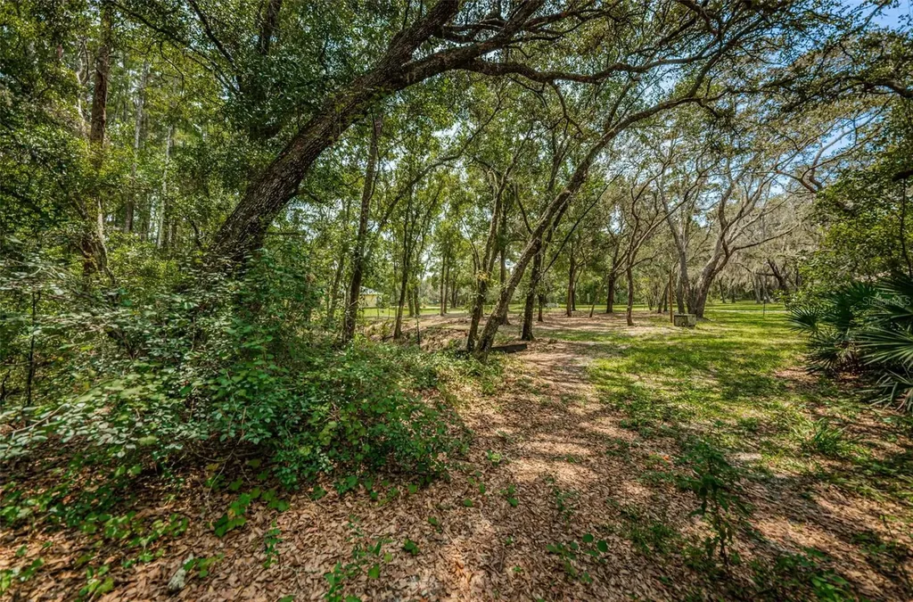Coqui Court Odessa FL 33556
