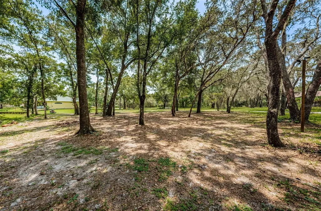 Coqui Court Odessa FL 33556