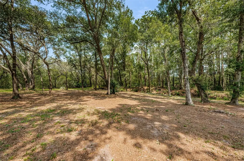 Coqui Court Odessa FL 33556
