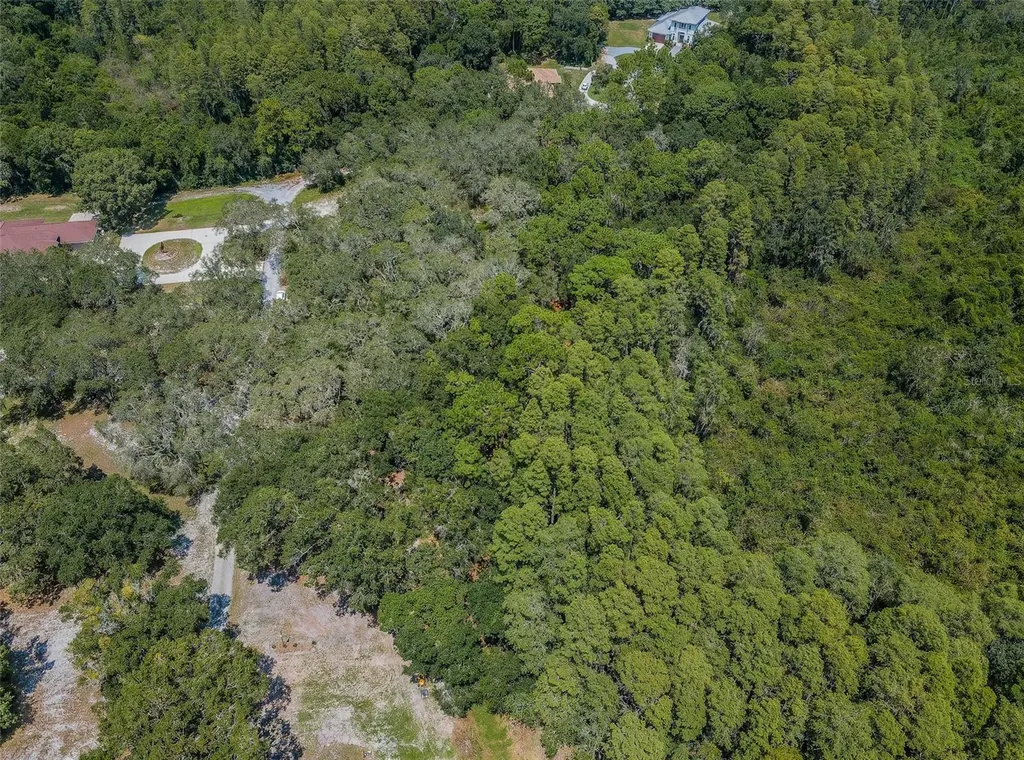 Coqui Court Odessa FL 33556