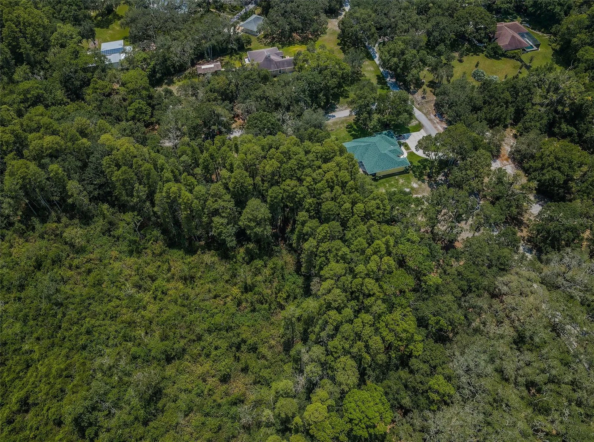 Coqui Court Odessa FL 33556