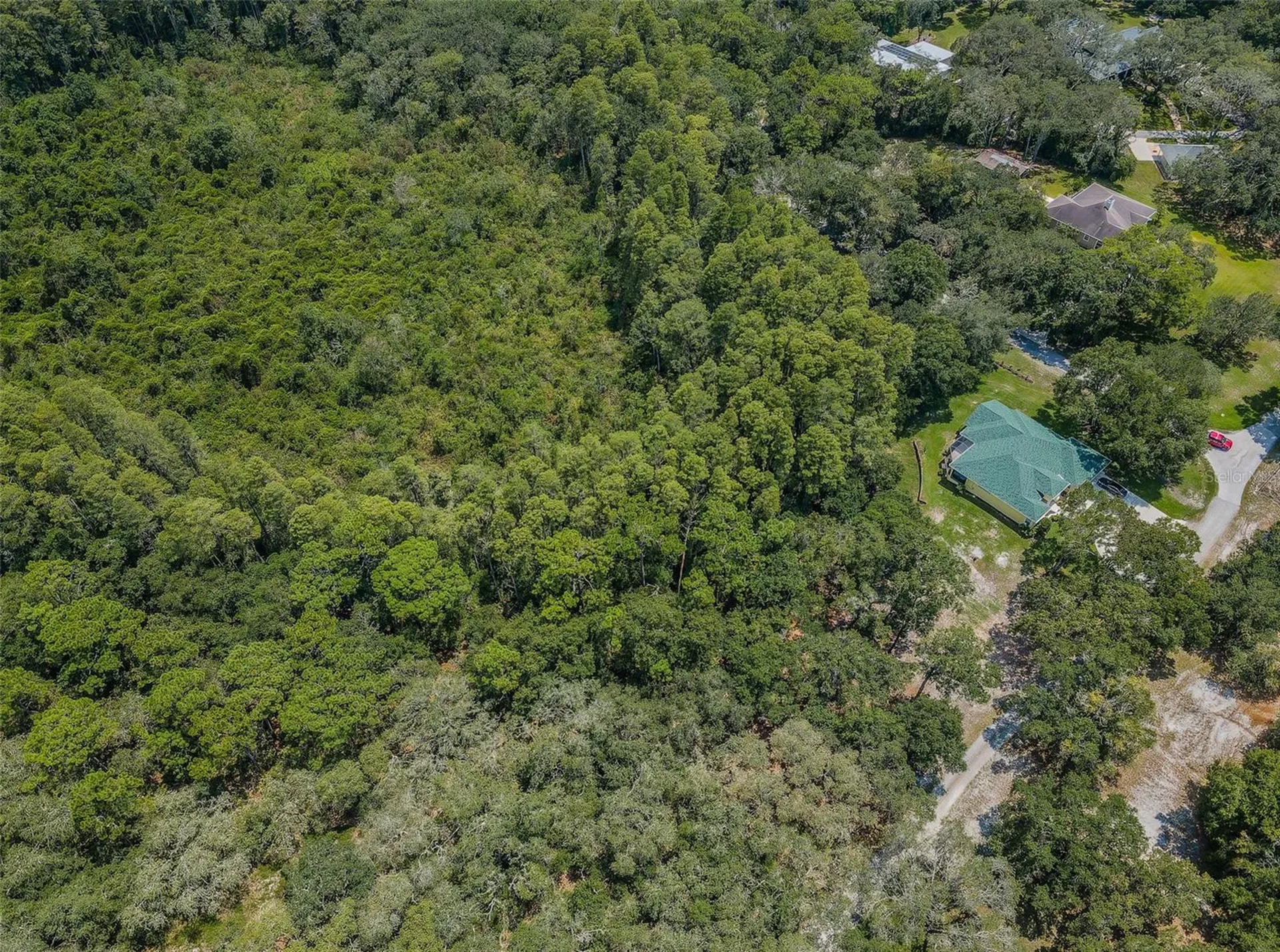Coqui Court Odessa FL 33556