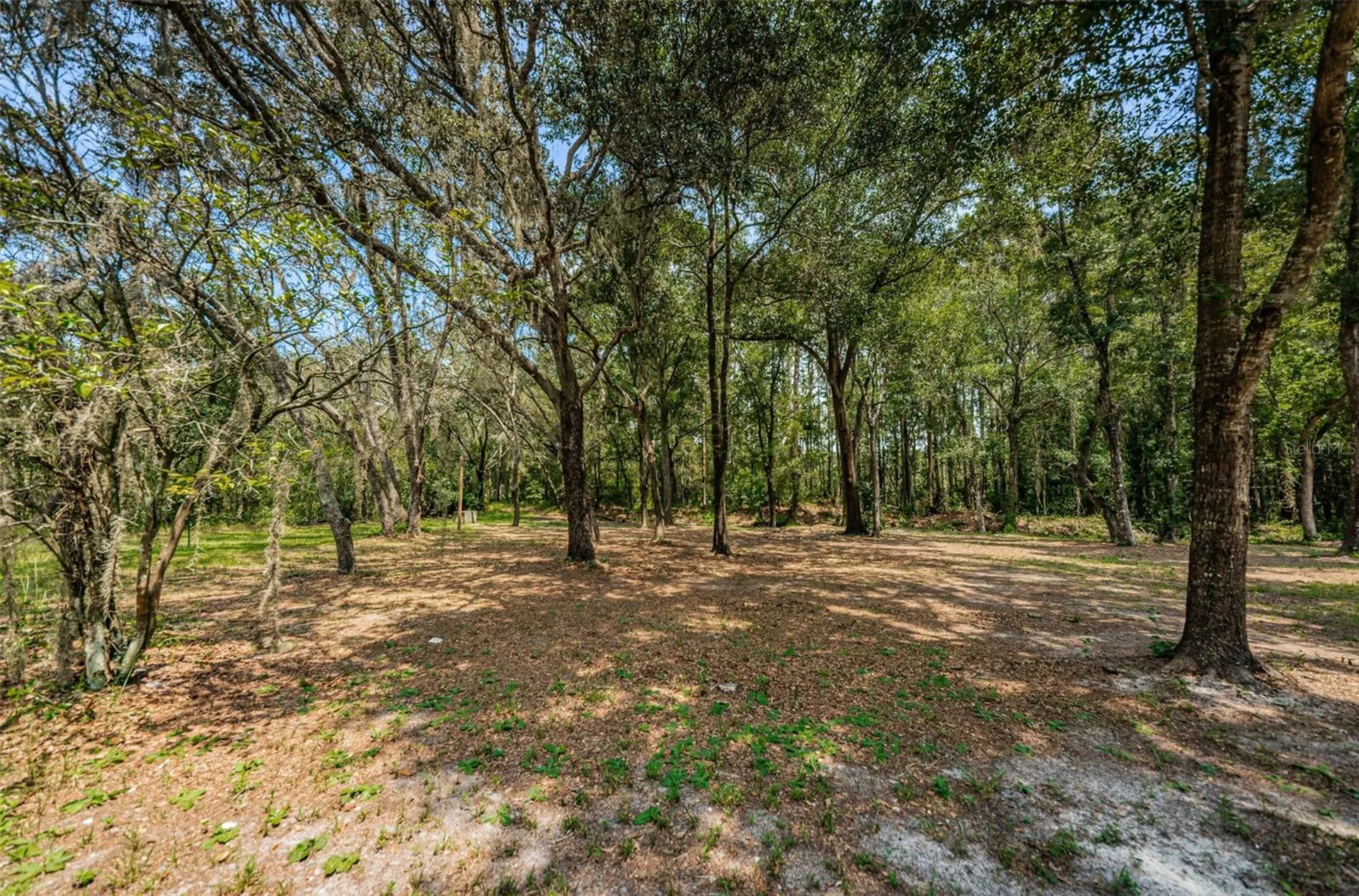 Coqui Court Odessa FL 33556