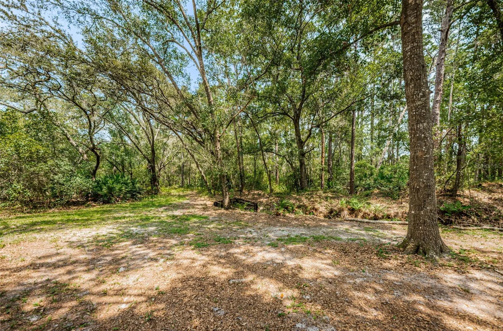 Coqui Court Odessa FL 33556