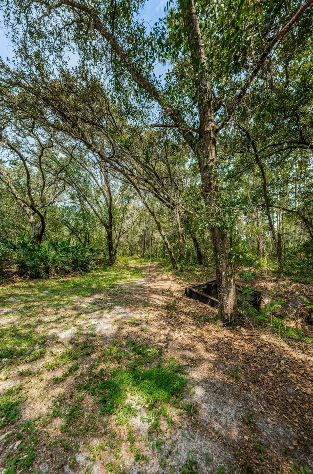 Coqui Court Odessa FL 33556