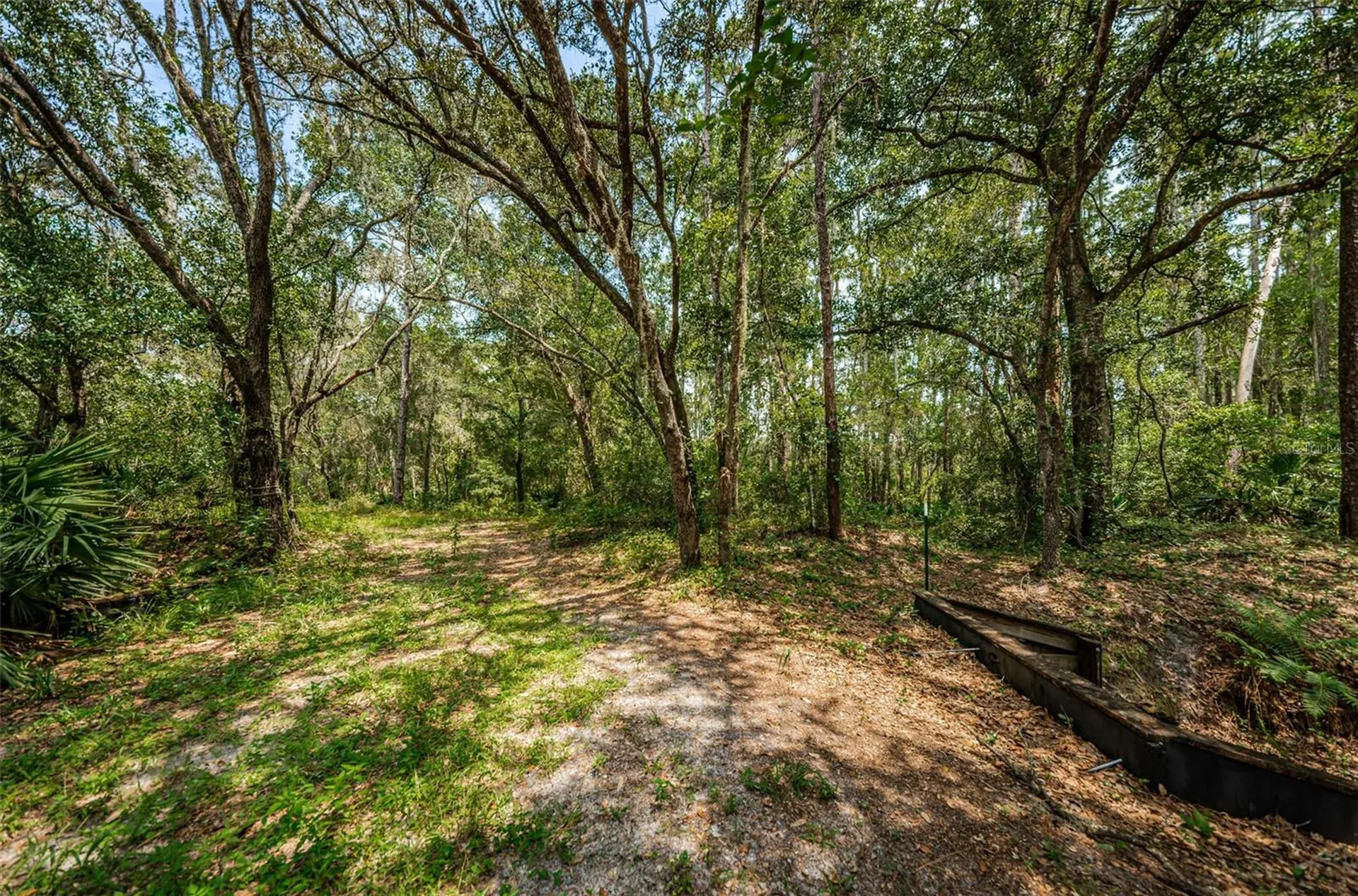Coqui Court Odessa FL 33556