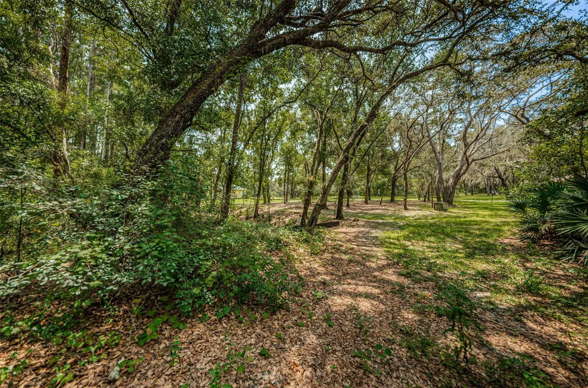 Coqui Court Odessa FL 33556