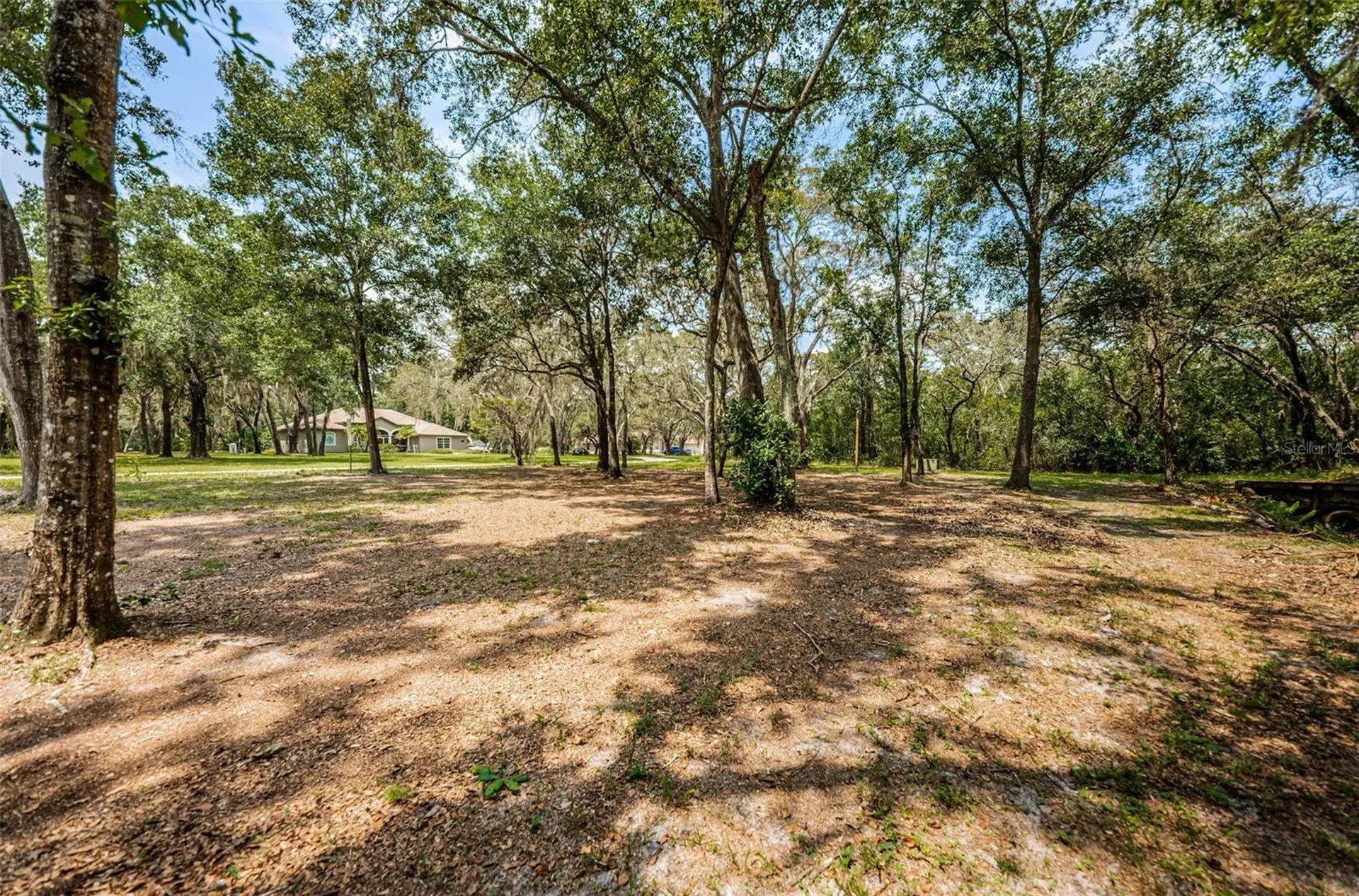 Coqui Court Odessa FL 33556
