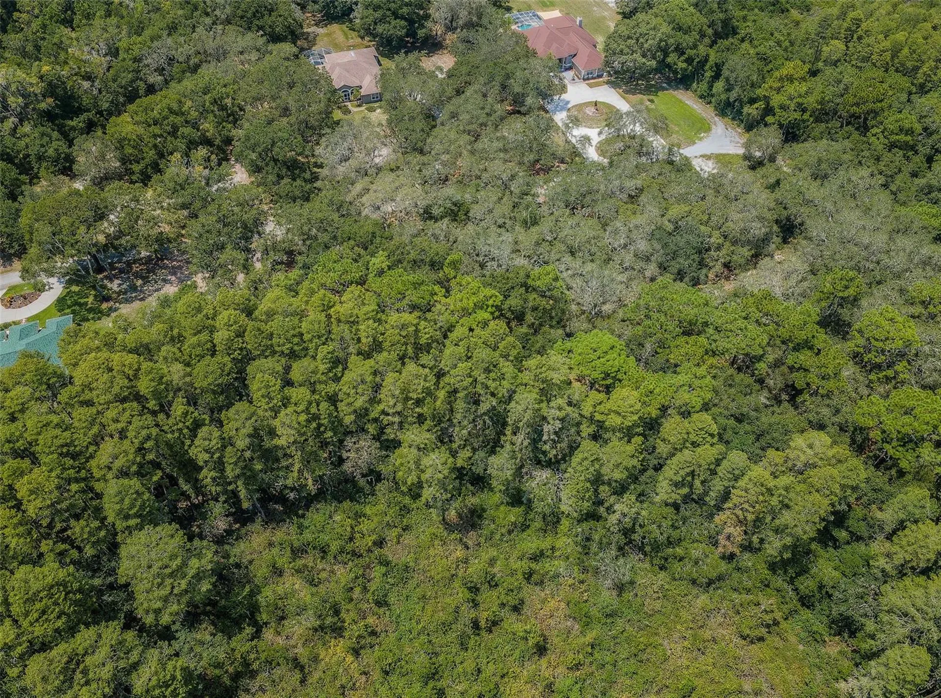 Coqui Court Odessa FL 33556