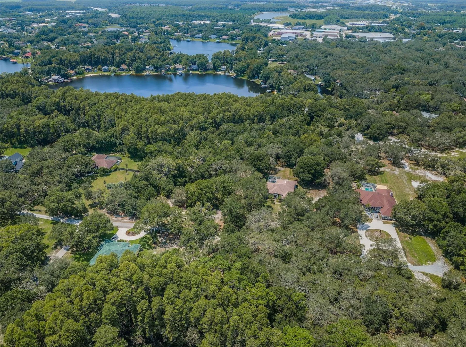 Coqui Court Odessa FL 33556