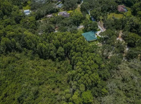 Coqui Court Odessa FL 33556