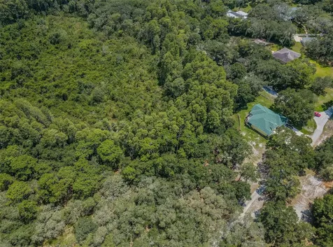 Coqui Court Odessa FL 33556