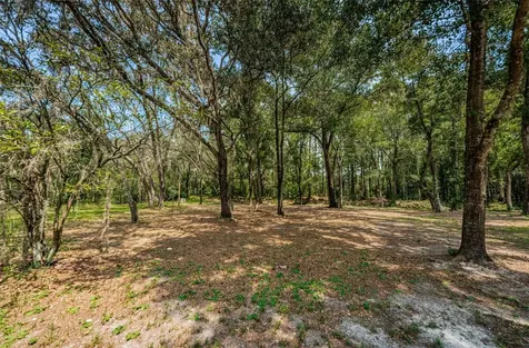 Coqui Court Odessa FL 33556