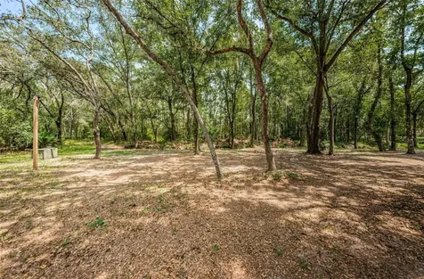 Coqui Court Odessa FL 33556