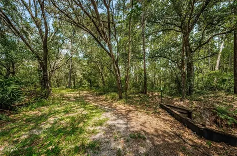 Coqui Court Odessa FL 33556