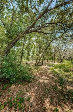 Coqui Court Odessa FL 33556