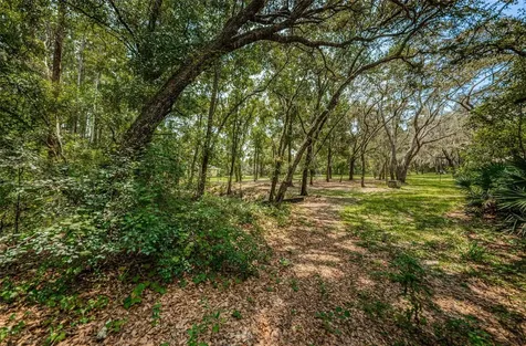Coqui Court Odessa FL 33556