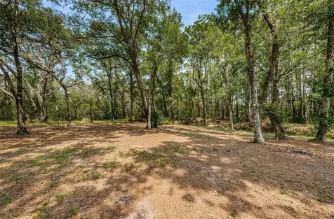 Coqui Court Odessa FL 33556