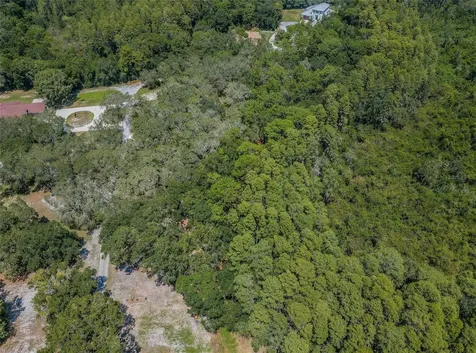 Coqui Court Odessa FL 33556