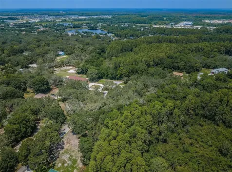 Coqui Court Odessa FL 33556