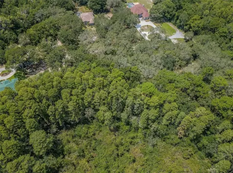 Coqui Court Odessa FL 33556