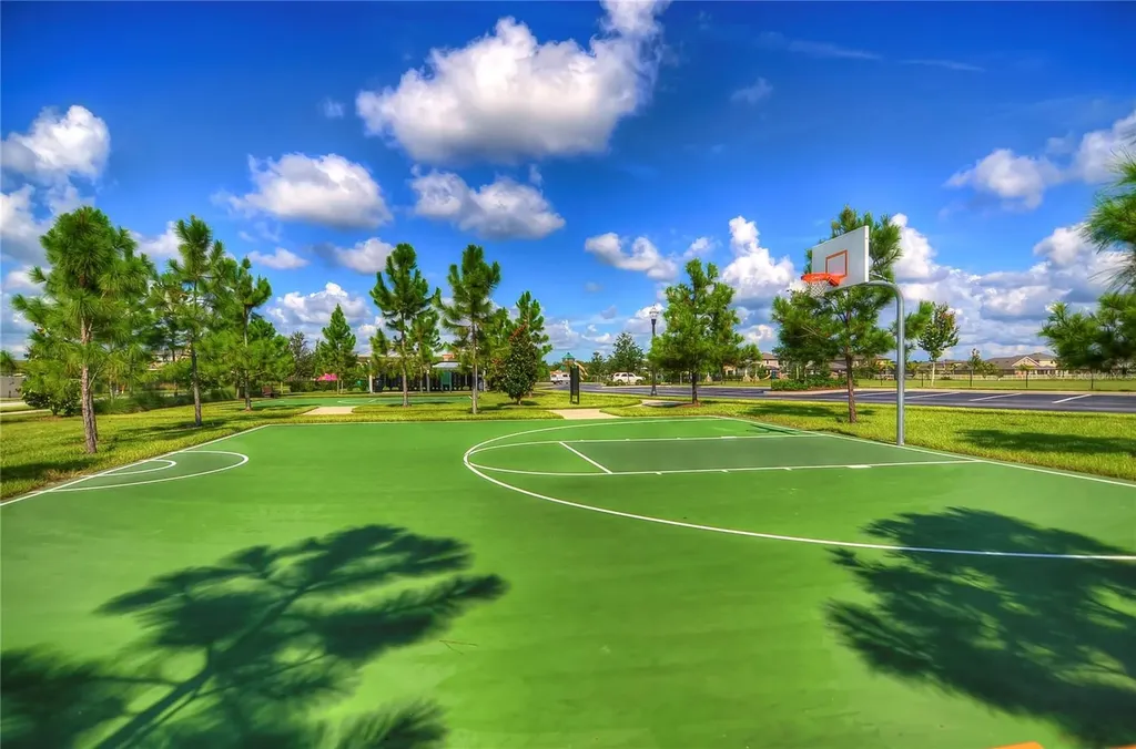 1621 Leaf Flower Lane Lutz FL 33558