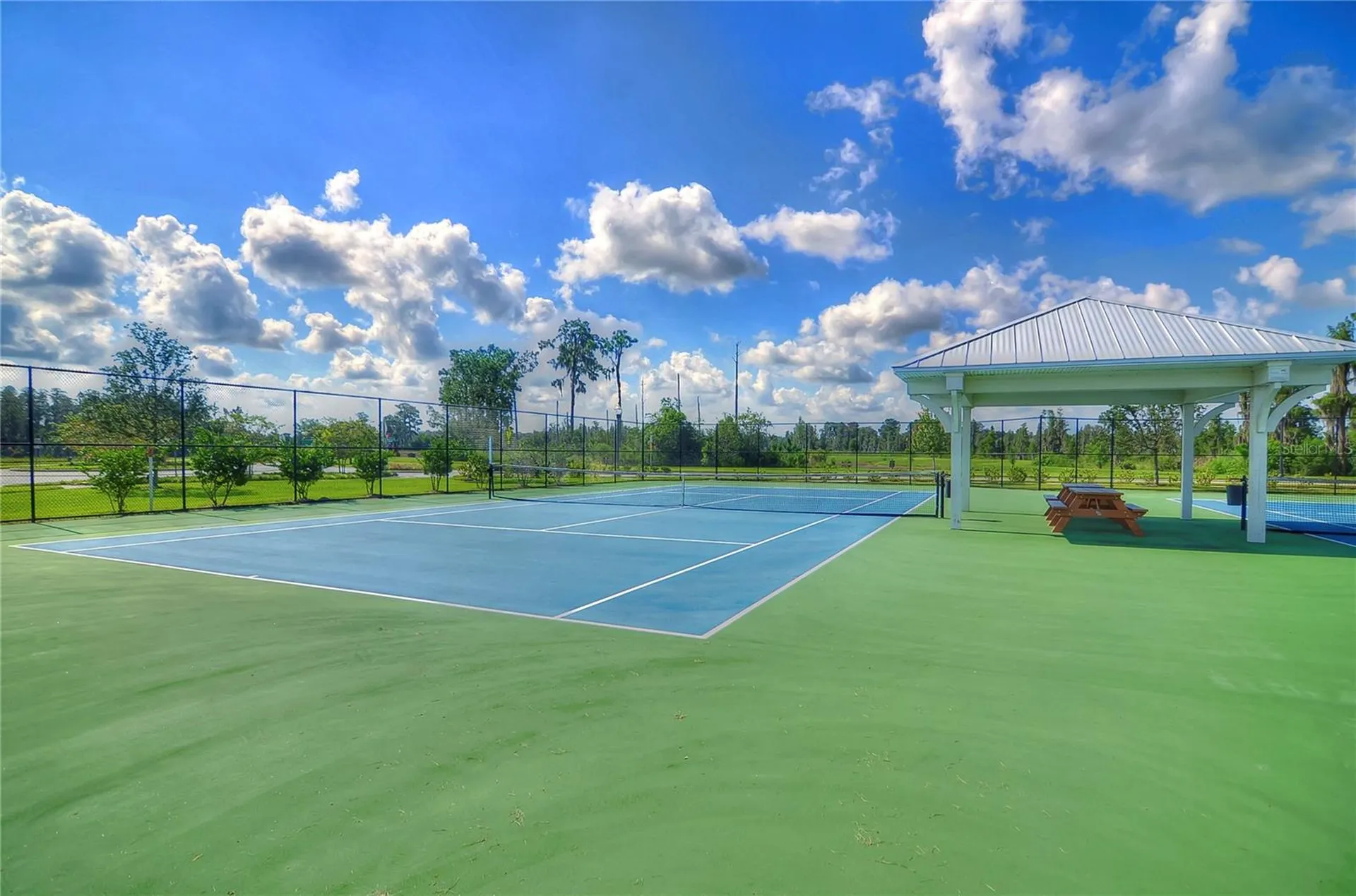 1621 Leaf Flower Lane Lutz FL 33558