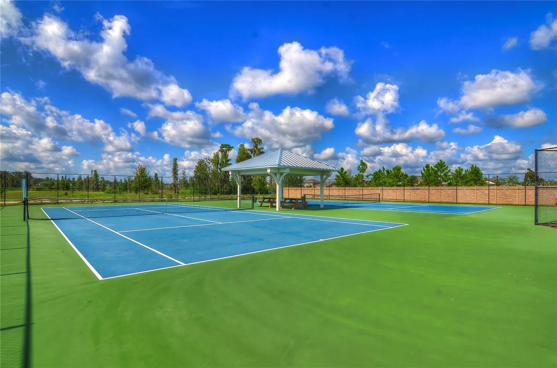 1621 Leaf Flower Lane Lutz FL 33558