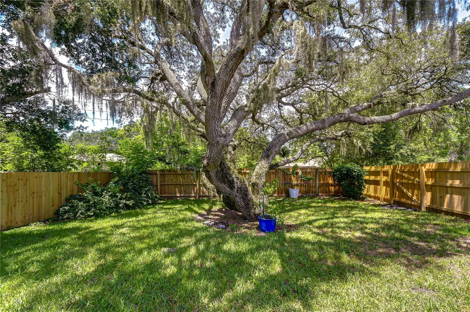 2980 Bridlewood Drive Palm Harbor FL 34683