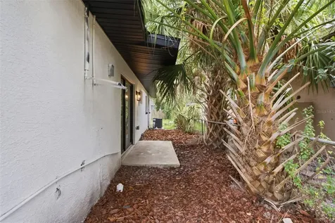 595 Pine Street Safety Harbor FL 34695