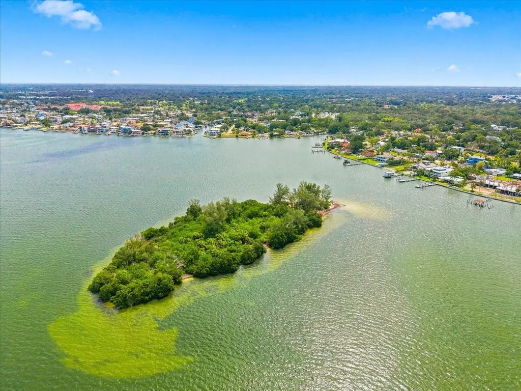 111 Shore Drive Dunedin FL 34698