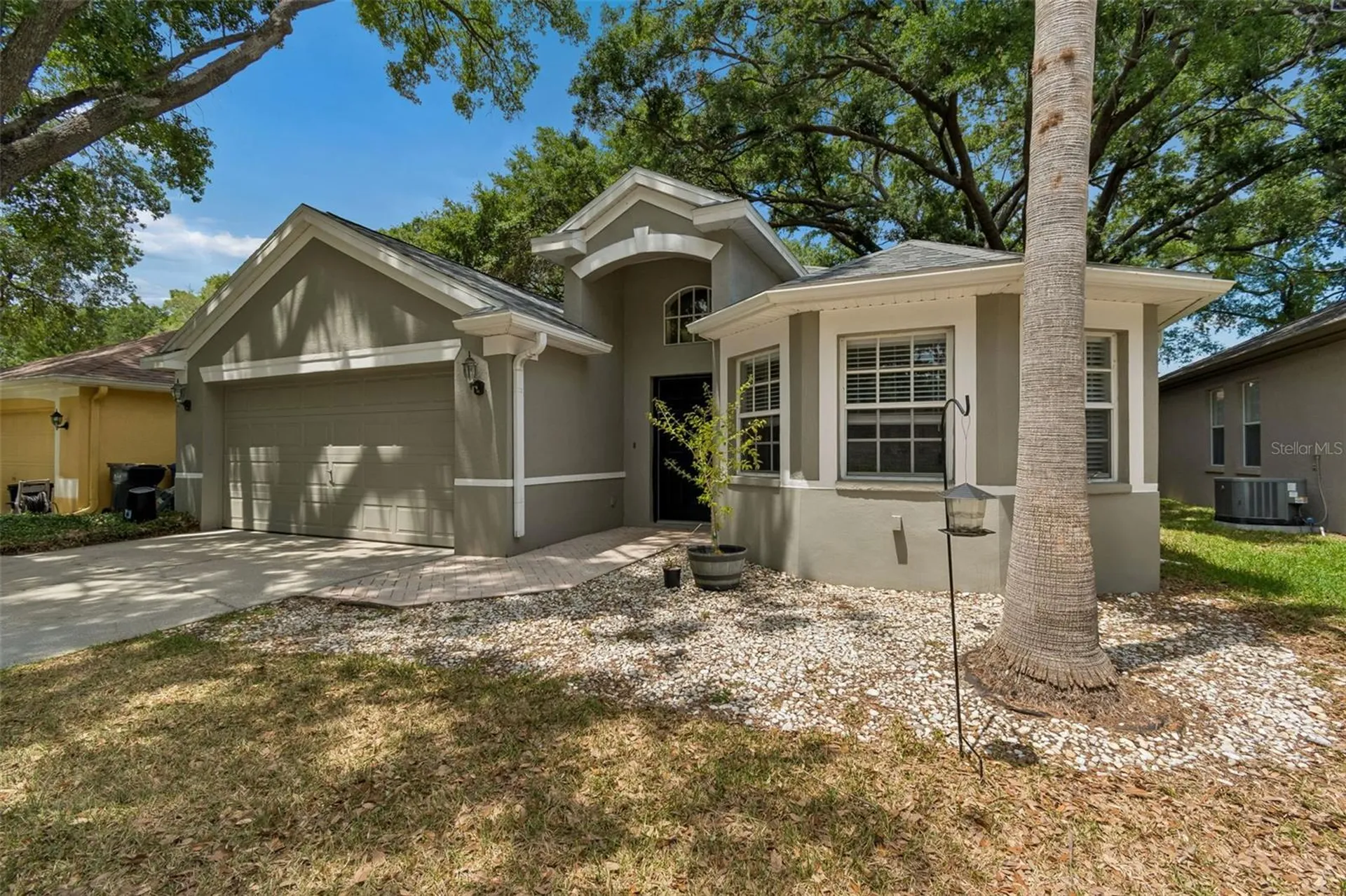4643 Dunnie Drive Tampa FL 33614