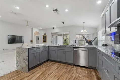 4643 Dunnie Drive Tampa FL 33614
