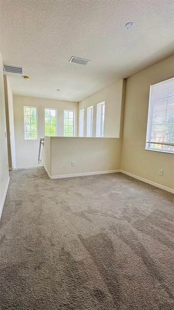 2939 Willowleaf Lane Wesley Chapel FL 33544