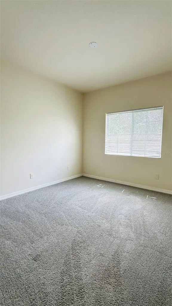 2939 Willowleaf Lane Wesley Chapel FL 33544