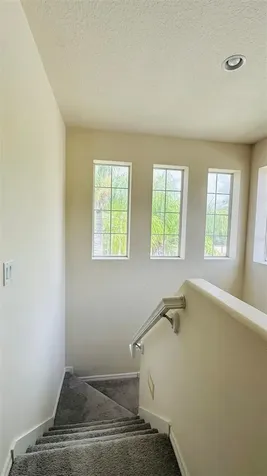 2939 Willowleaf Lane Wesley Chapel FL 33544
