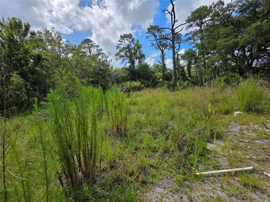 4863 Meadow Green Road Mims FL 32754