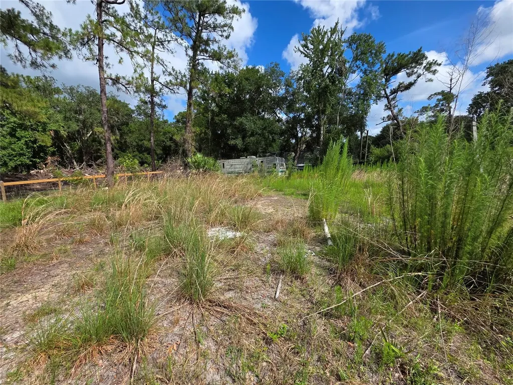 4863 Meadow Green Road Mims FL 32754
