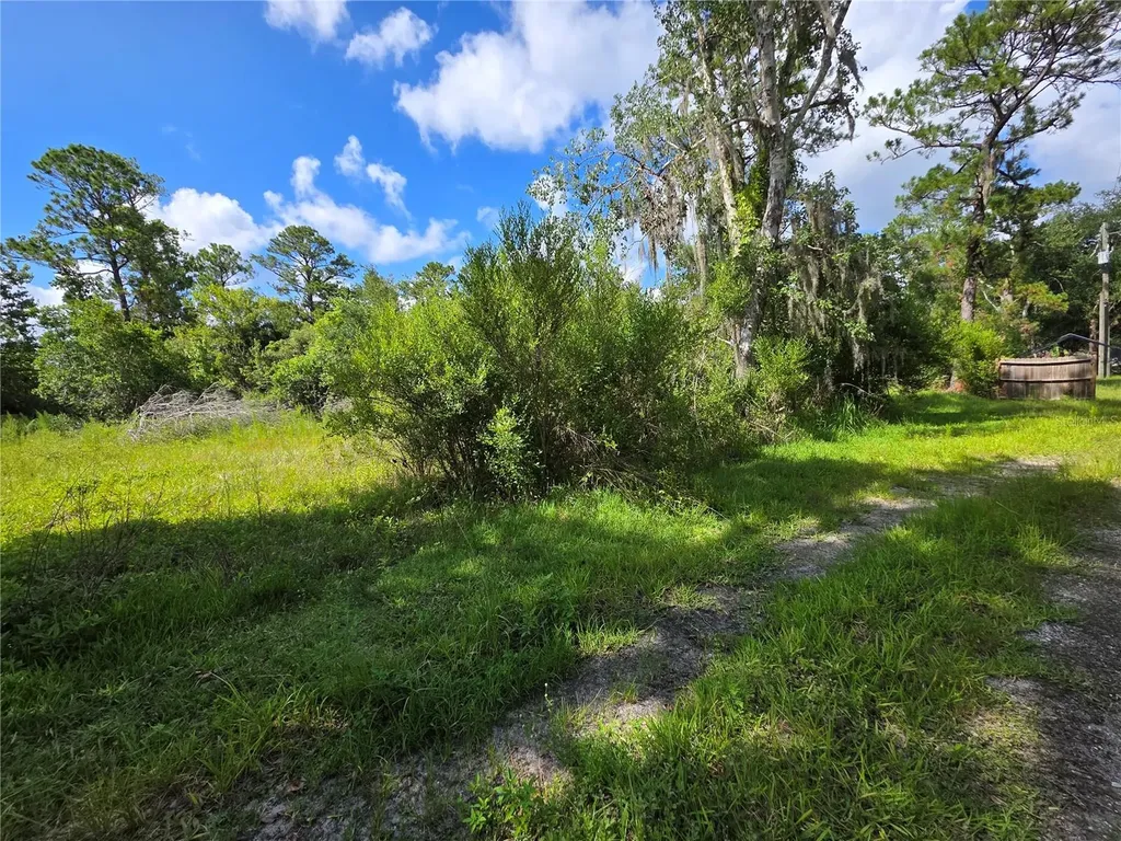 4863 Meadow Green Road Mims FL 32754