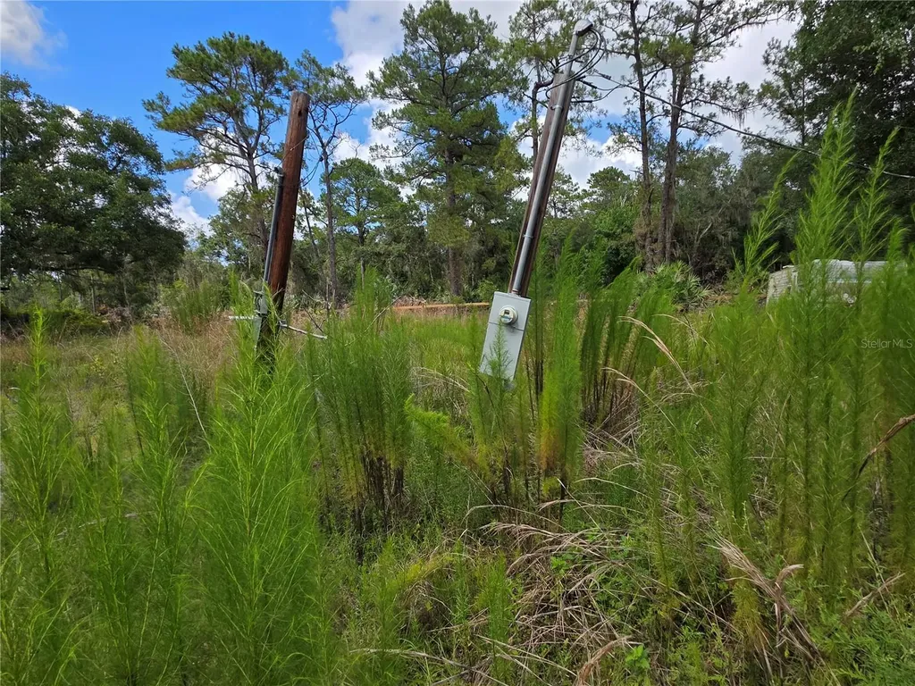 4863 Meadow Green Road Mims FL 32754