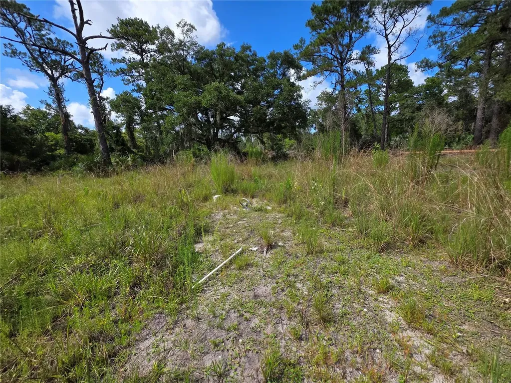 4863 Meadow Green Road Mims FL 32754