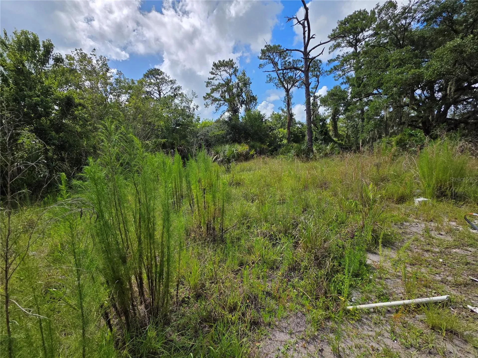 4863 Meadow Green Road Mims FL 32754