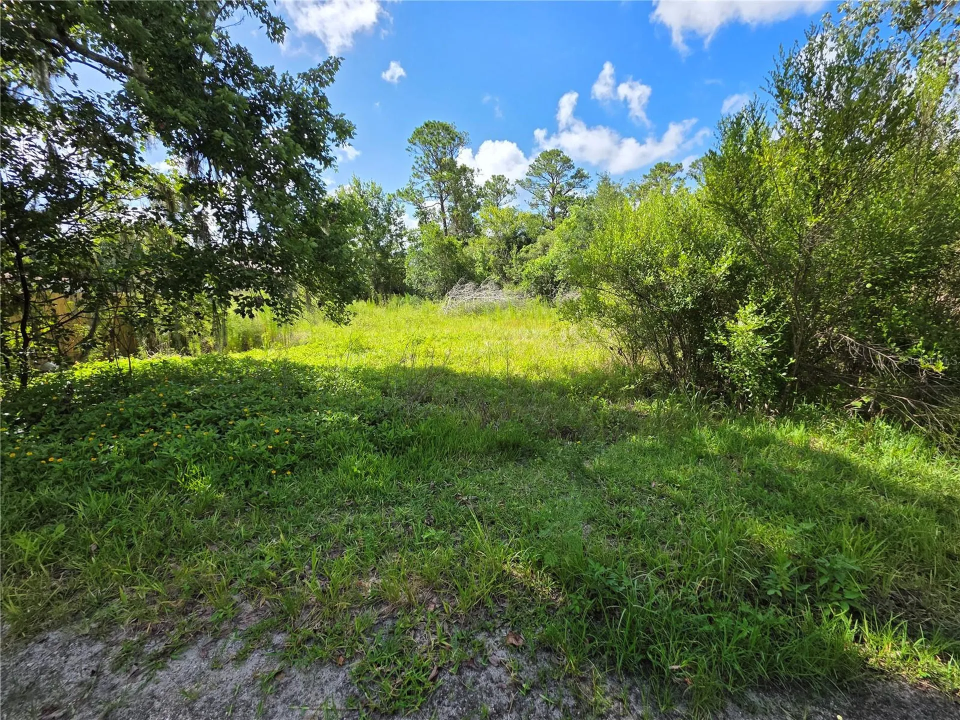 4863 Meadow Green Road Mims FL 32754