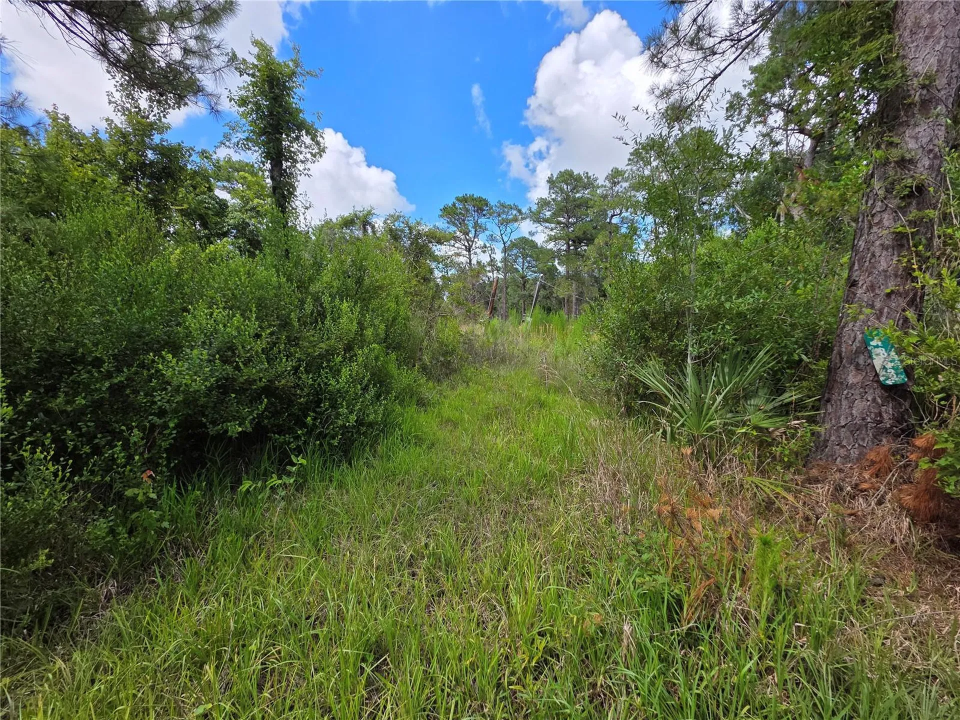 4863 Meadow Green Road Mims FL 32754