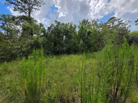 4863 Meadow Green Road Mims FL 32754